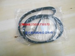 水泵皮带3289157康明斯6CTA8.3-GM175发电机皮带