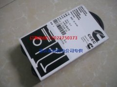 水泵多槽皮带217638康明斯NTA855-G1发动机