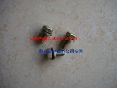 带垫圈螺栓3033822康明斯NTA855-P320发动机