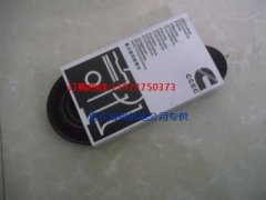 充电机皮带3040303康明斯NTA855-C360发动机