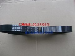 发电机皮带3101314康明斯QSX15-C发动机皮带