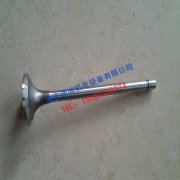 康明斯K19发动机进气门207241