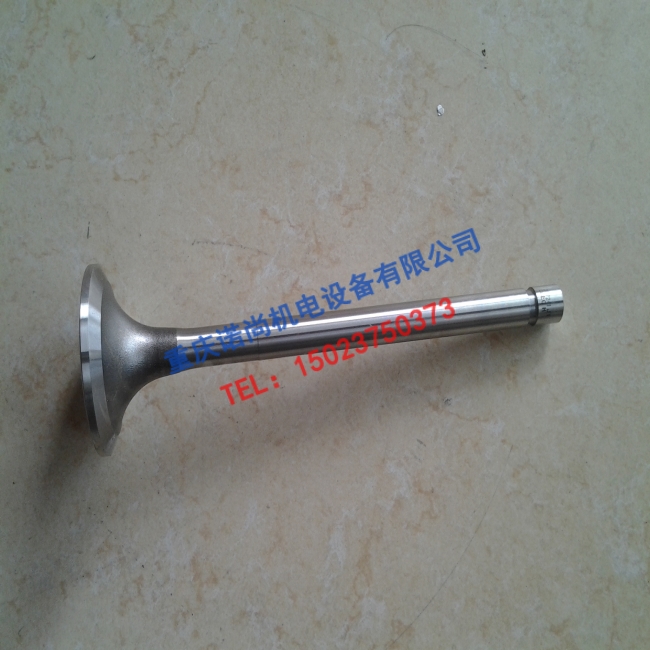 康明斯K19发动机进气门207241