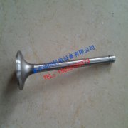 宿迁康明斯K19排气门3035110