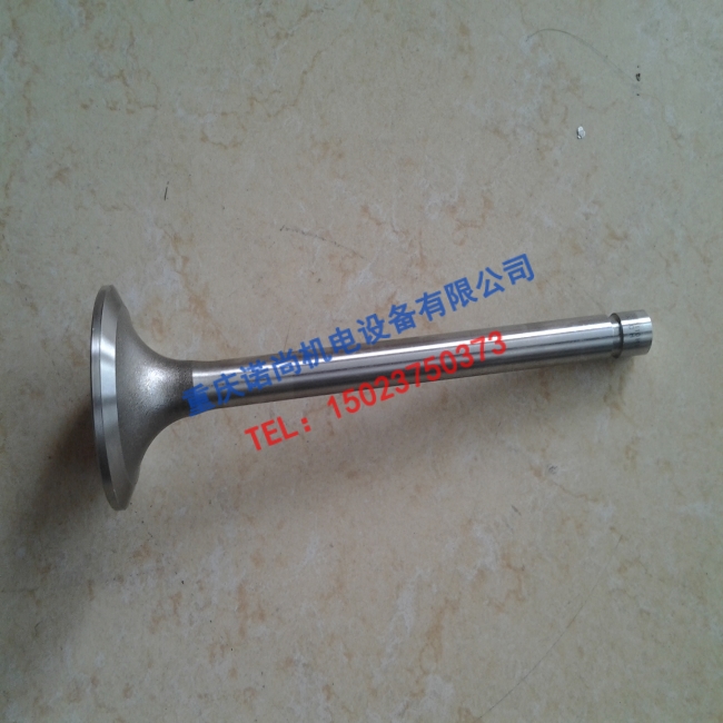 康明斯排气门3035110