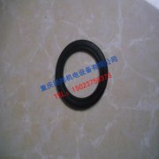 重庆康明斯K19皮带轮密封圈3200287