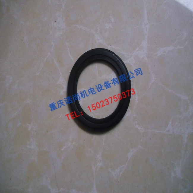 重庆康明斯K19皮带轮密封圈3200287