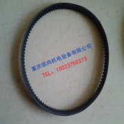 香港康明斯NTA855风扇皮带178509