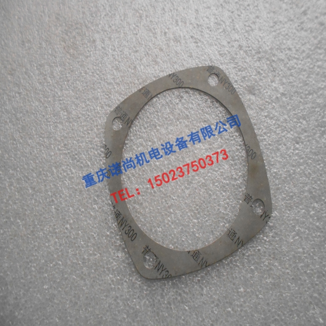 重庆康明斯空压机泵盖垫3058952