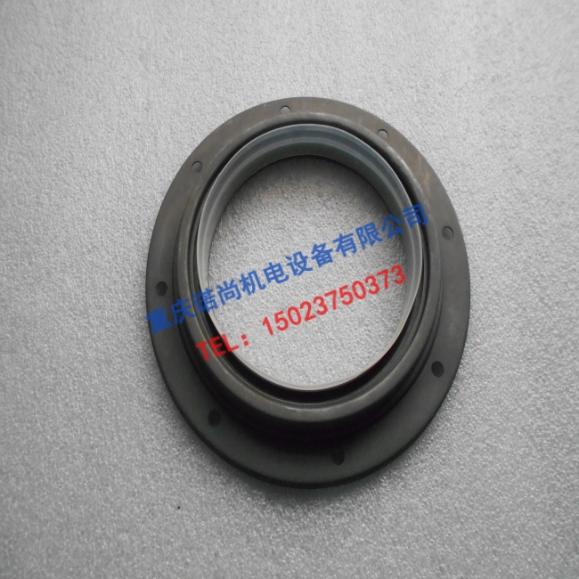 3005886珠海康明斯KTA19-M船舶推进器后油封