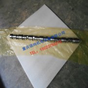合肥康明斯KTA19凸轮轴3066882