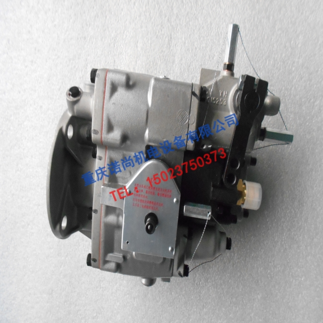 日照康明斯NTC290燃油泵3655215