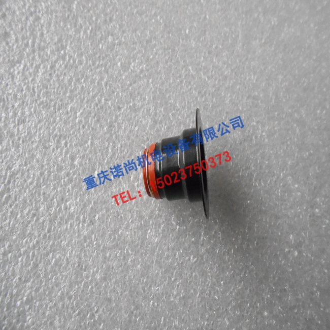 东康康明斯6BT气门油封3957912