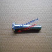 衡水康明斯NT855风扇螺栓4026245