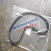 梅州康明斯NT855风扇皮带178376