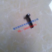 贵州康明斯K19燃油泵轴螺栓3017052